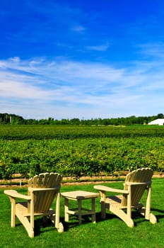 Chairs overlooking vineyard