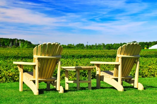 Chairs overlooking vineyard