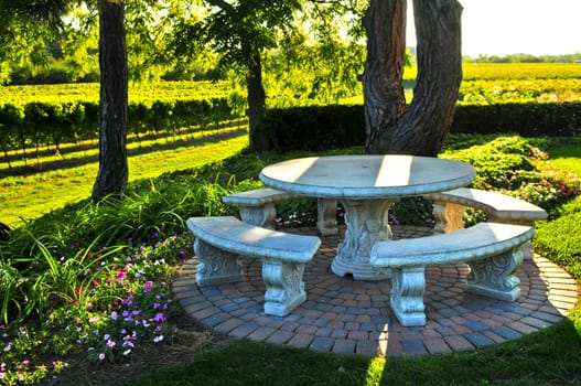 Benches overlooking vineyard
