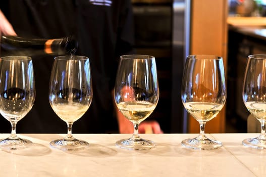 Wine tasting glasses