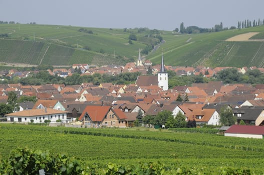 Vineyards near Nordheim