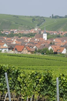 Vineyards near Nordheim