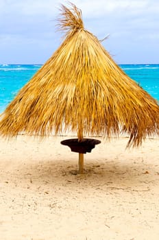 Tropical beach umbrella