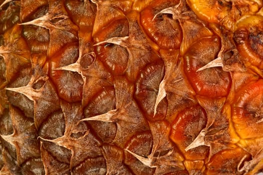 pineapple skin texture