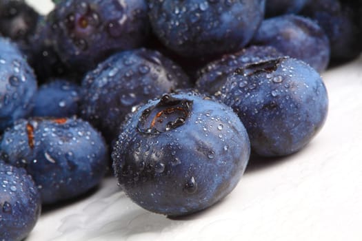 blueberry closeup