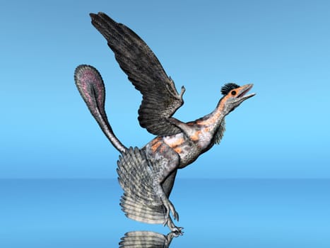 Microraptor