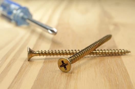 Screws and screwdriver on piece of wood.