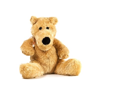 Plush dog