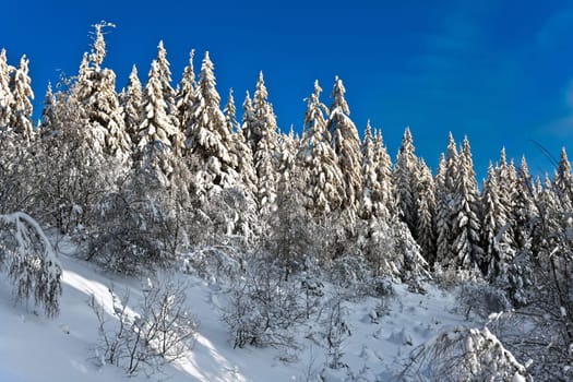 Winter mood
