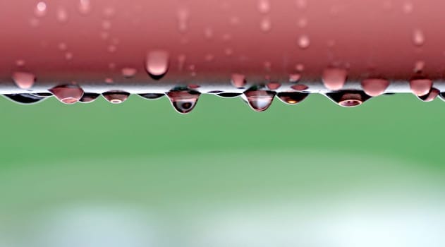 Water Drops
