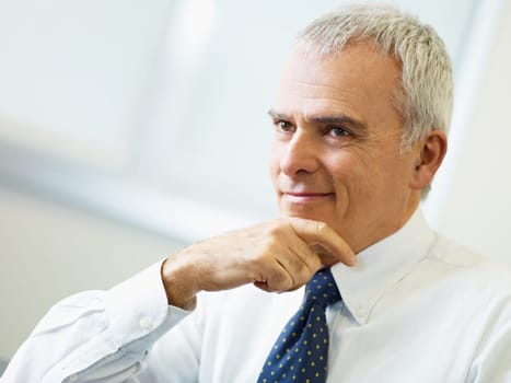 mature businessman in office