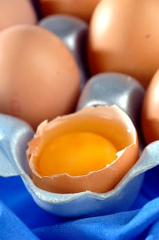 eggs