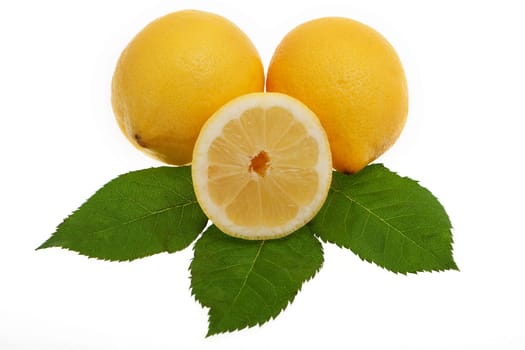 Lemon