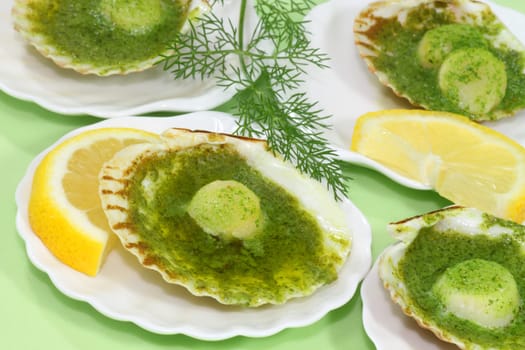 Scallops