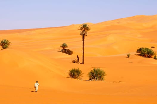 Desert