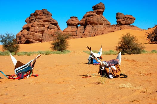 Tuareg riding saddles in desert sand,Sahara desert