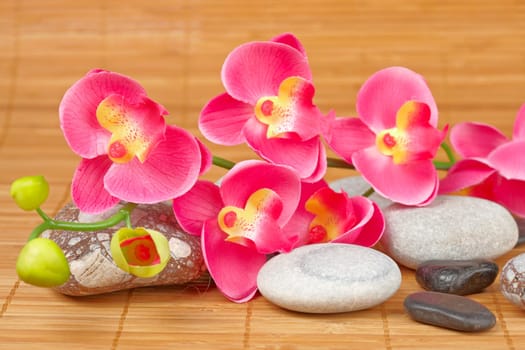 Stones and flowers