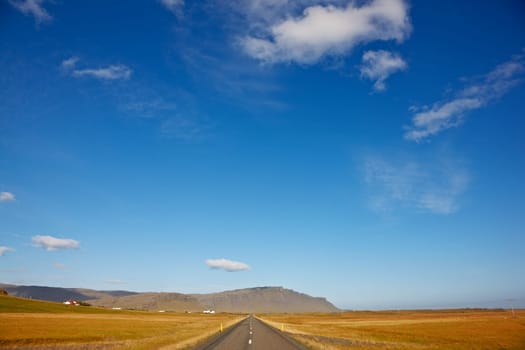 Lonely road