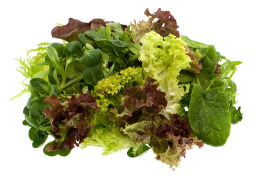 Lettuce