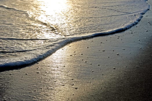 Waves