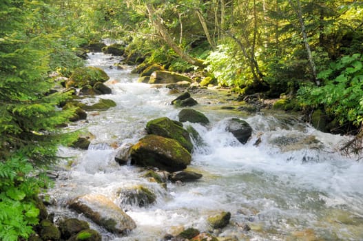 Mountain stream