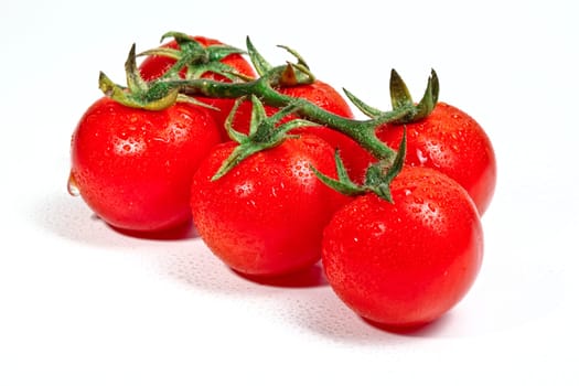 lonely tomato
