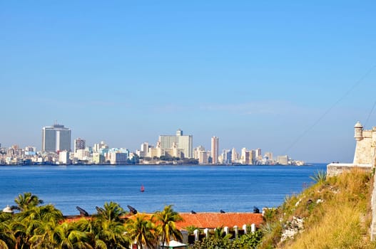 Havana