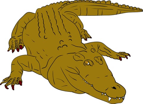 crocodile
