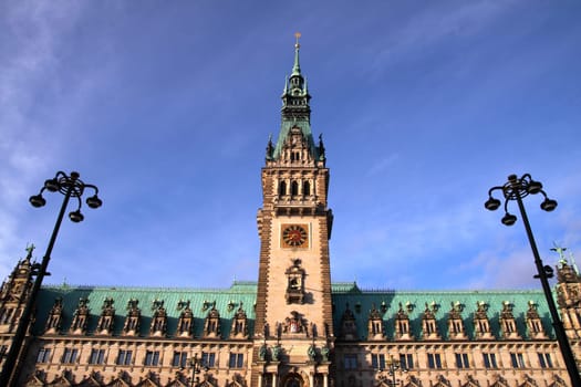 Hamburg City Hall in the morning sun