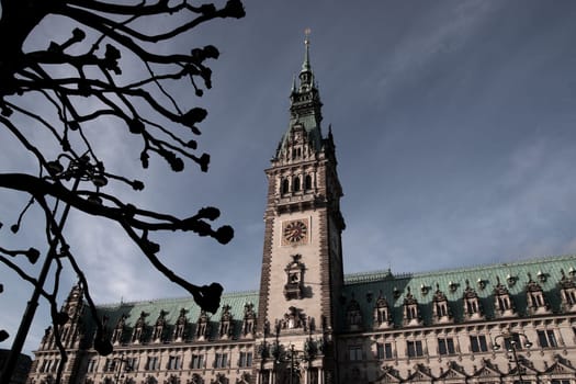 Hamburg City Hall in the morning sun