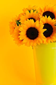 Sunflowers in vase