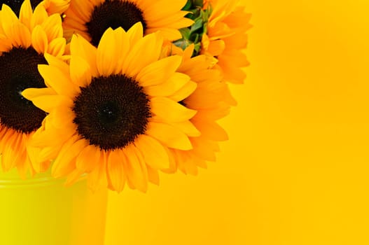 Sunflowers in vase