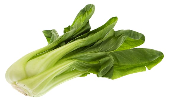 Shanghai Pok Choi