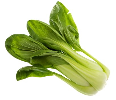 Shanghai Pok Choi