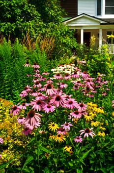 Residential garden landscaping