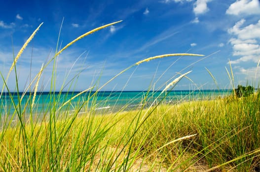 Sand dunes at beach