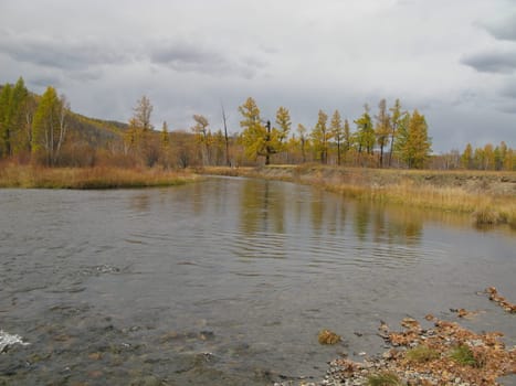 Autumn river