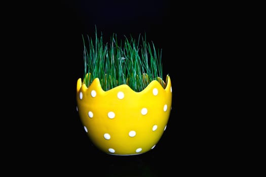 Easter Grass