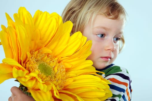 little girl with sunflower