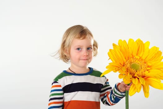 little girl with sunflower