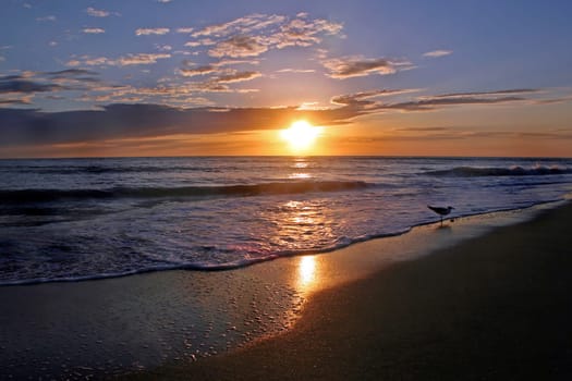Shining Sunset