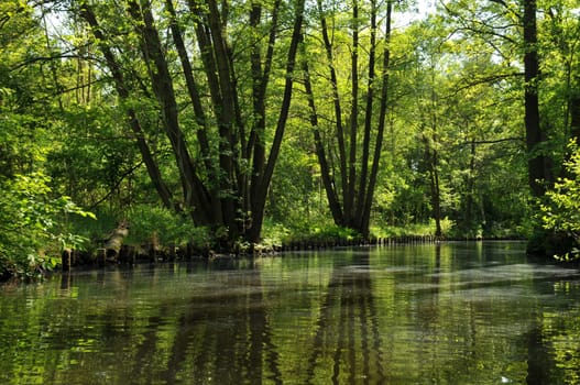 Idyll in the Spreewald