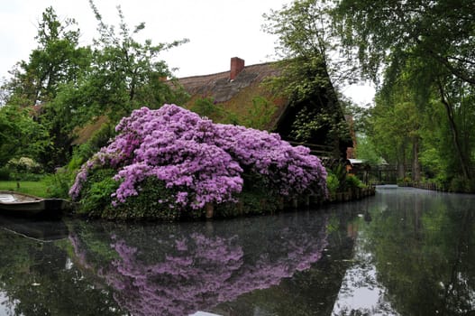 Colours in the Spreewald