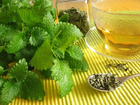 Tea with lemon balm