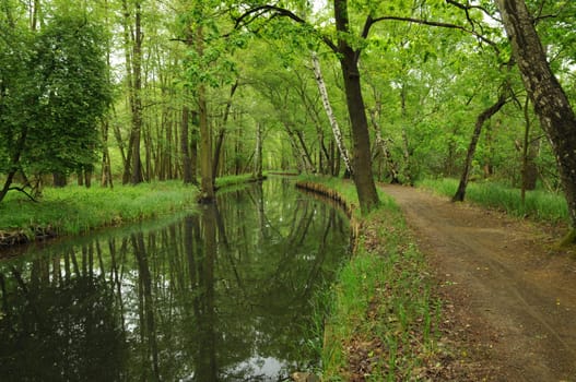 Fliess in the Spreewald