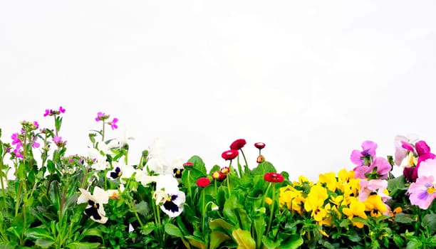 Spring Background