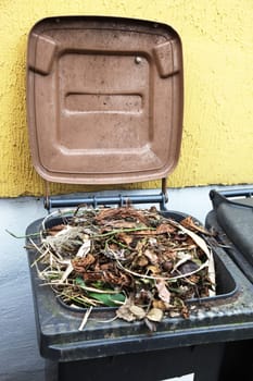 Garbage can with organic waste