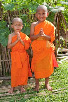 Children as Buddhist novices Laos