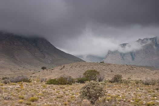 Guadalupe Mountains