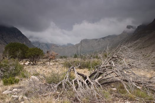 Guadalupe Mountains